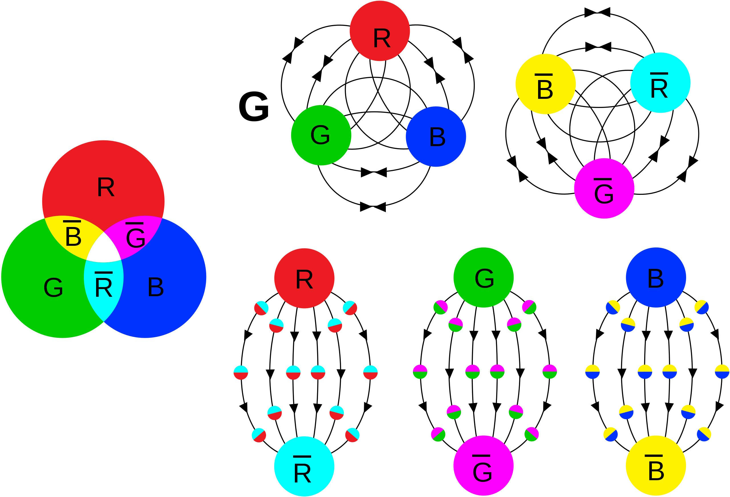 qcd fields color anticolor