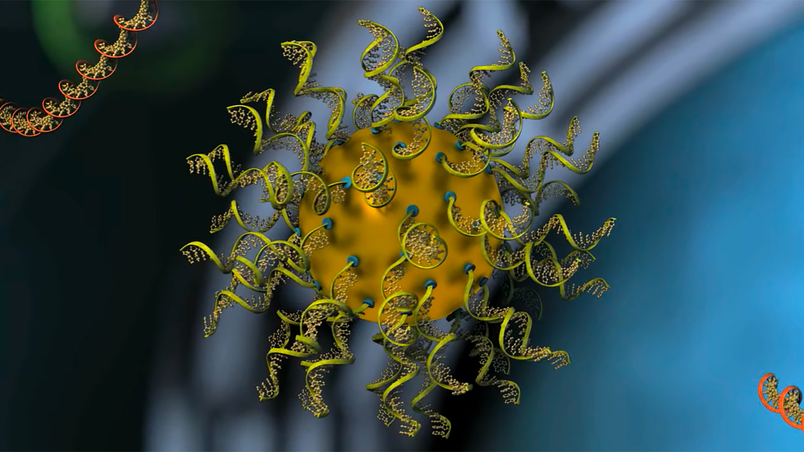 rational vaccinology