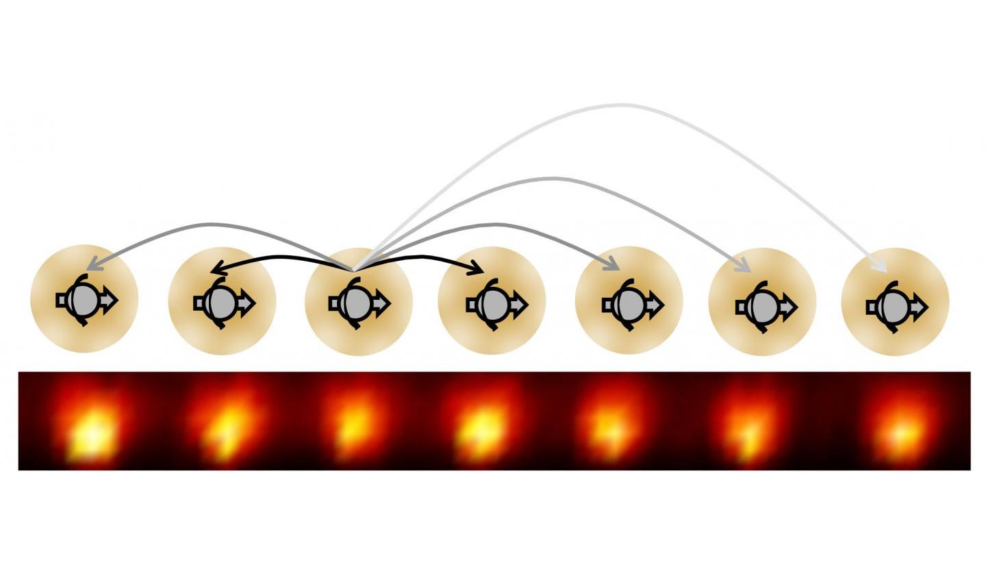time crystal entangled electron spin