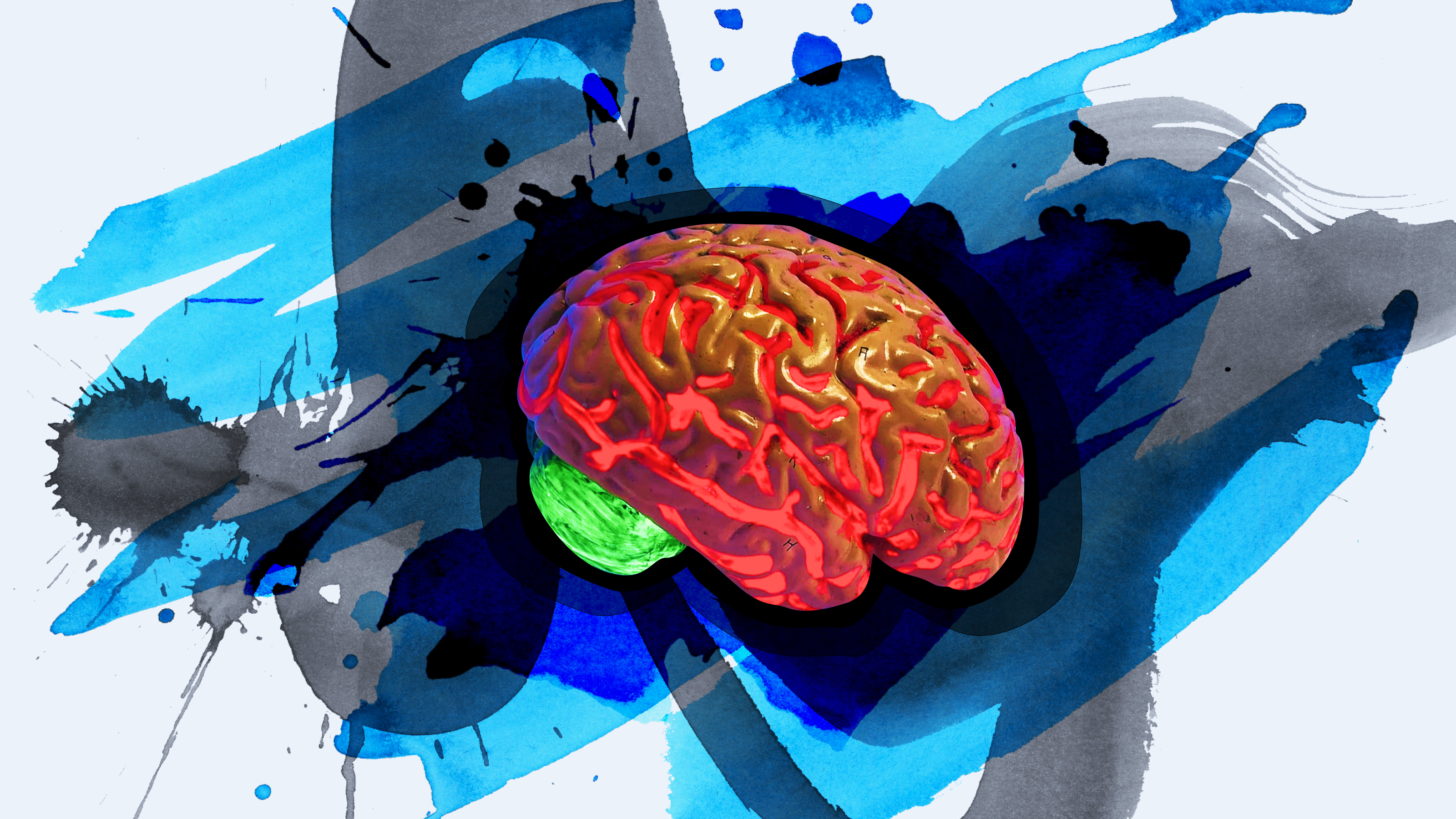 a painting of a brain on a white background.