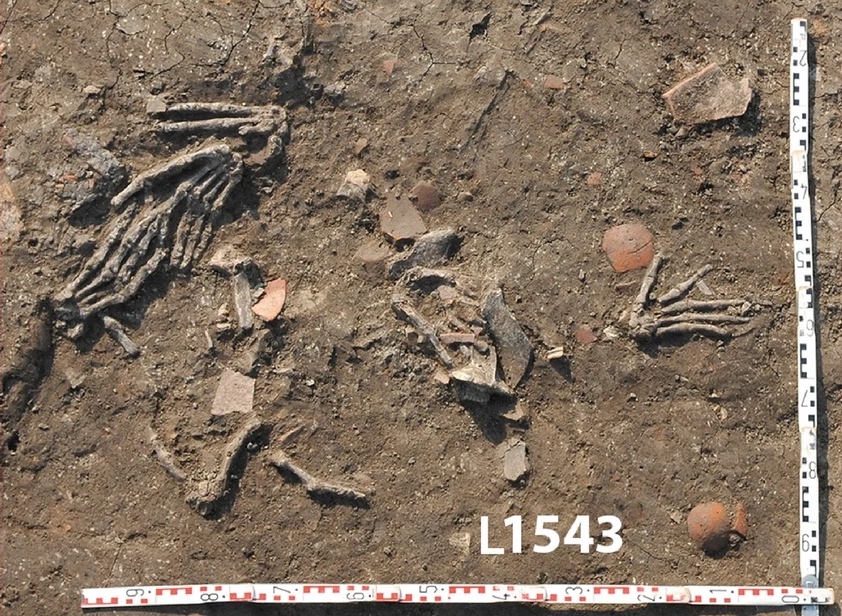 a picture of a skeleton in the dirt.