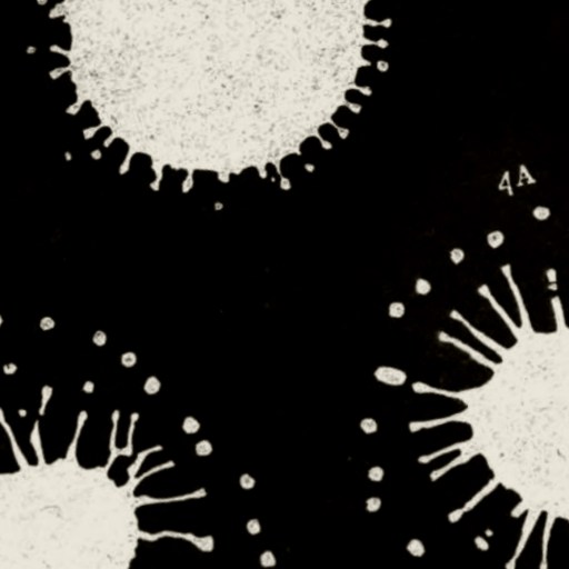Three circular, splattered white shapes on a black background, each labeled with numbers, resembling ink blots or stylized microorganisms.