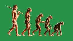 Illustration showing human evolution from an ape-like ancestor on all fours to an upright human holding a spear, against a green background.