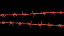 Two parallel strands of orange barbed wire set against a black background.