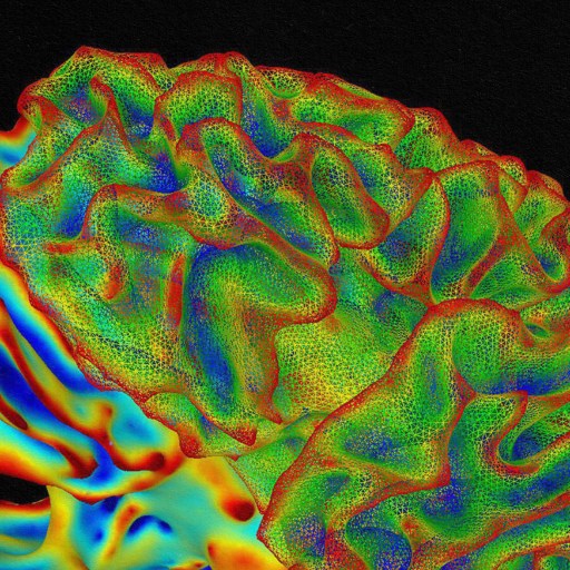 A faux MRI image showcases the impact of fake memories on the human brain.