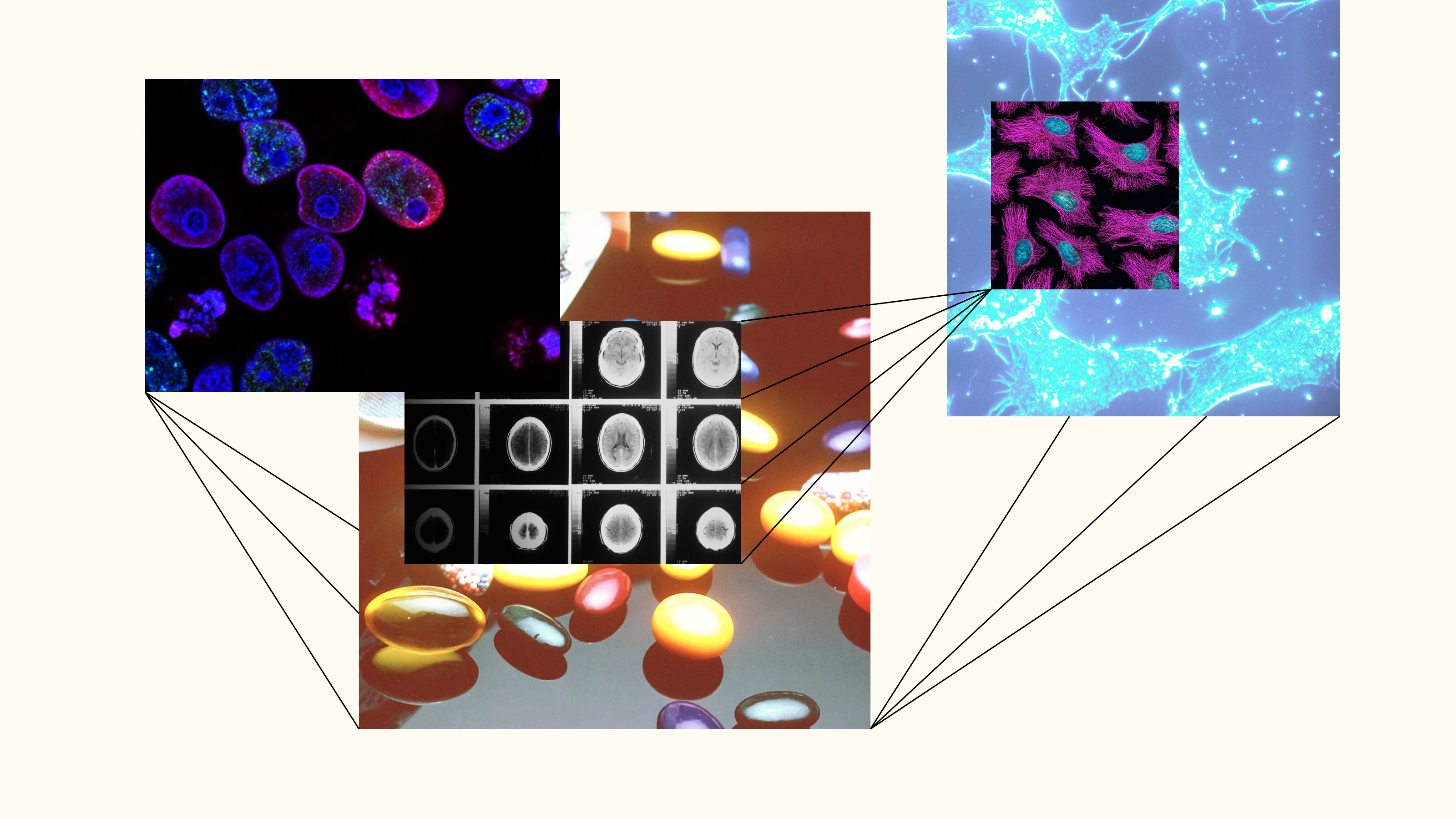 a collage of images of cell phones and cell phones.