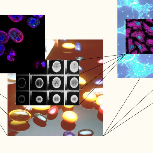 a collage of images of cell phones and cell phones.