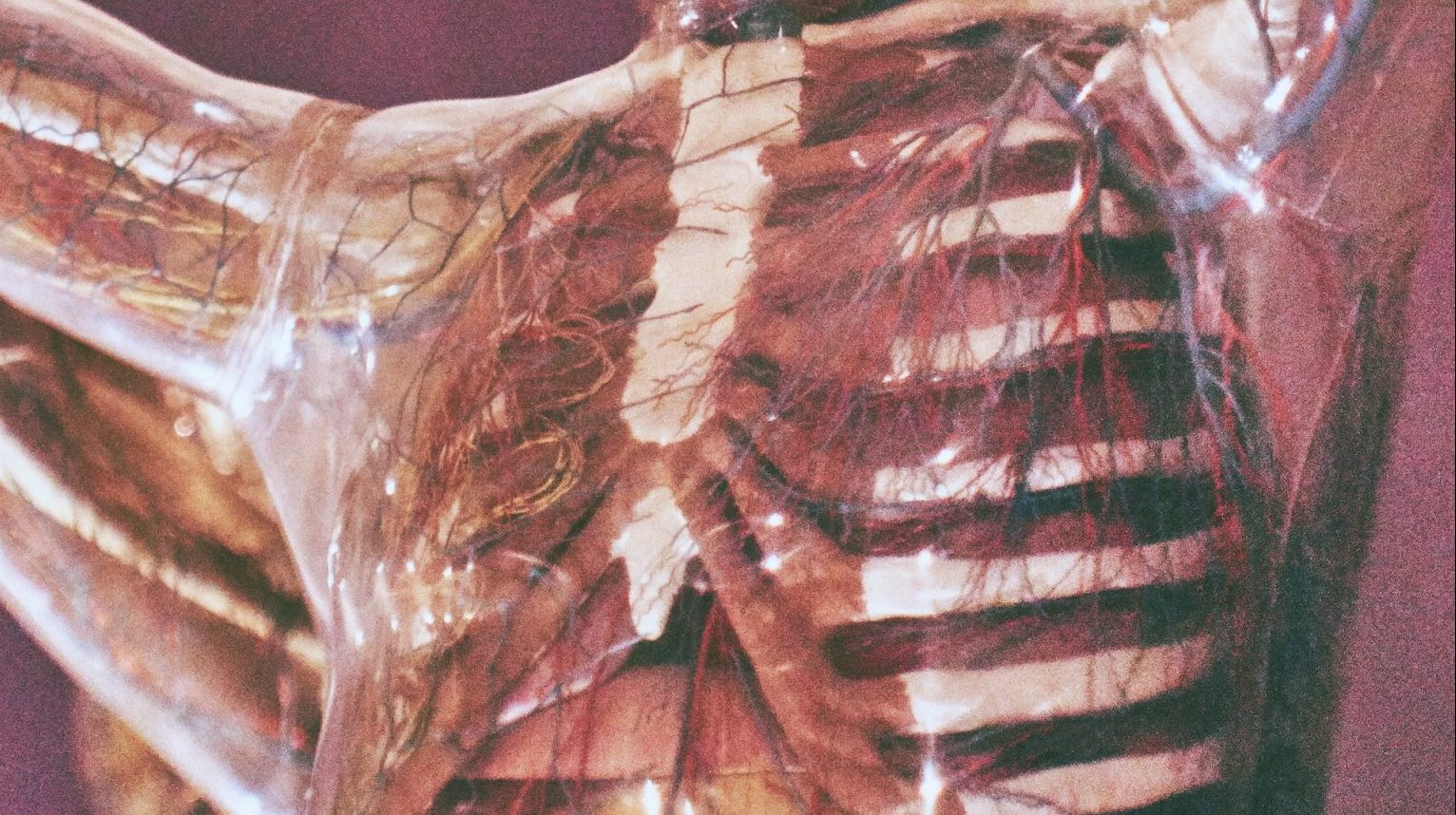 a skeleton statue is shown with its arms outstretched.