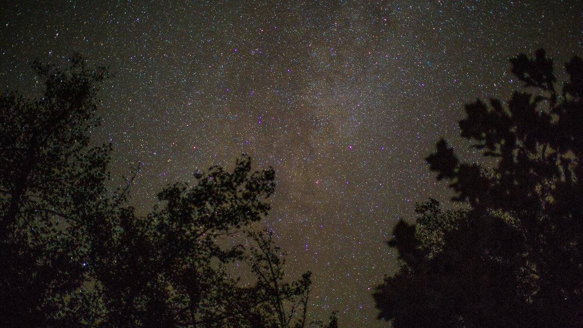 the night sky is filled with stars and trees.