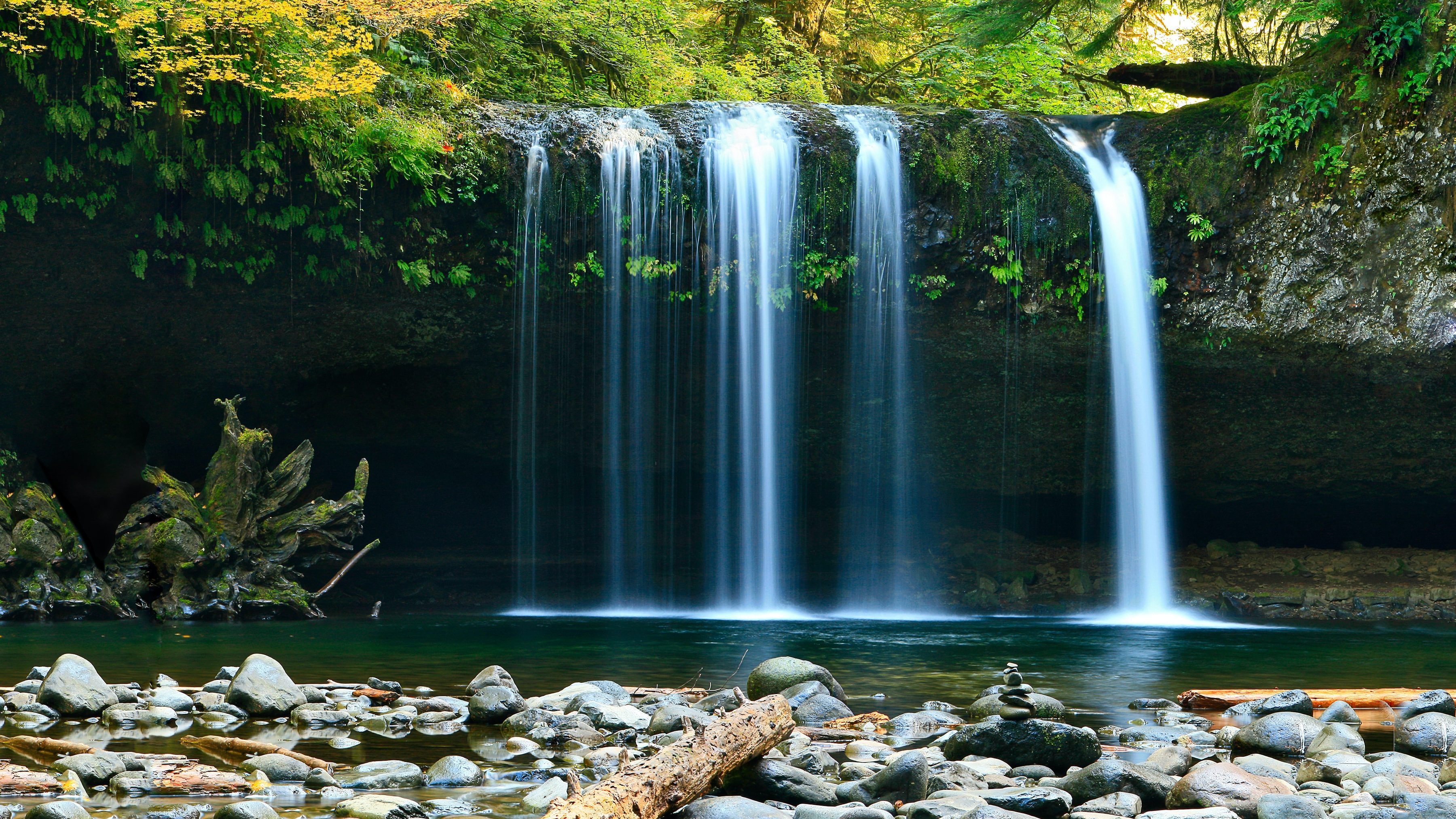 A waterfall with a fallen log in the foreground.