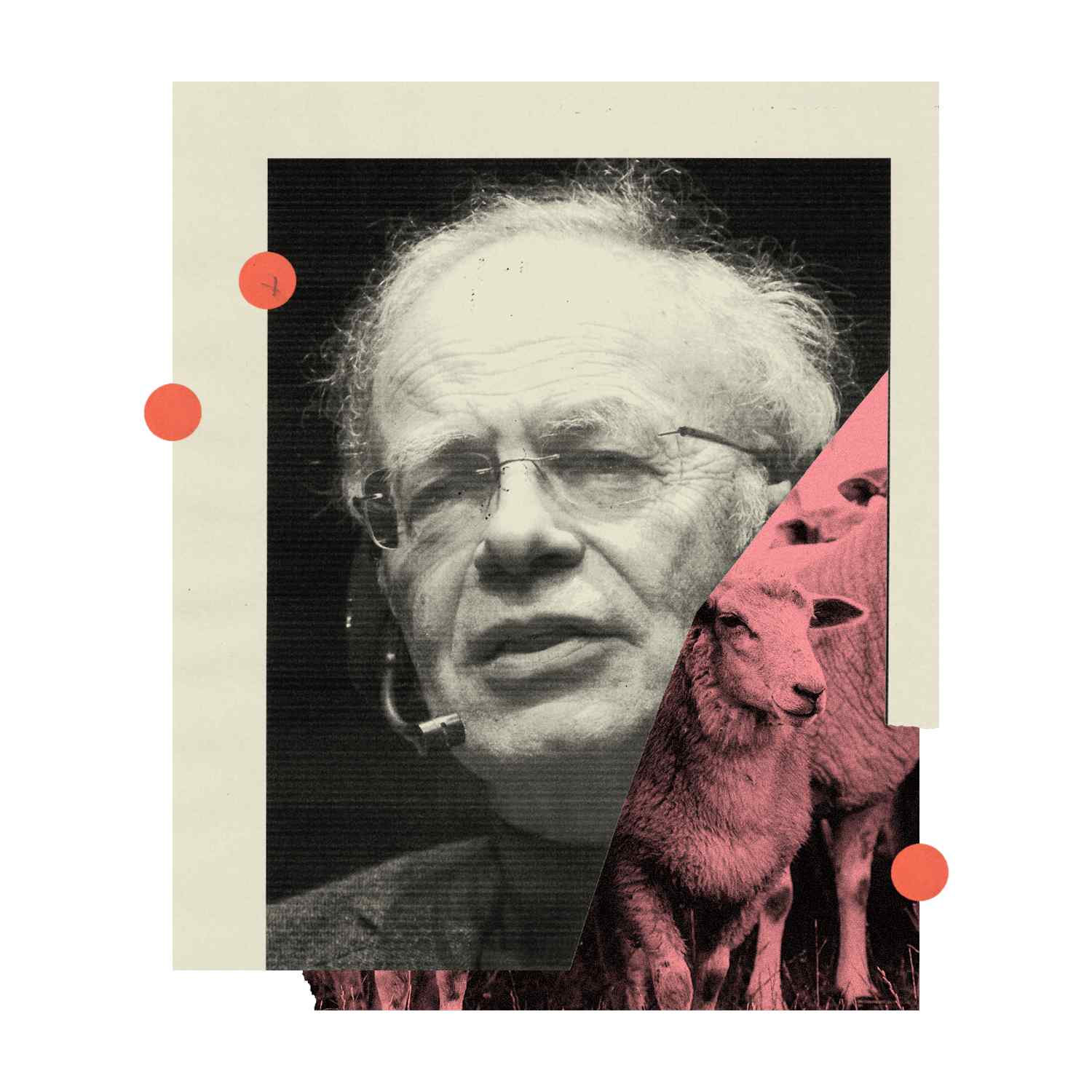 a collage of a man and a sheep.