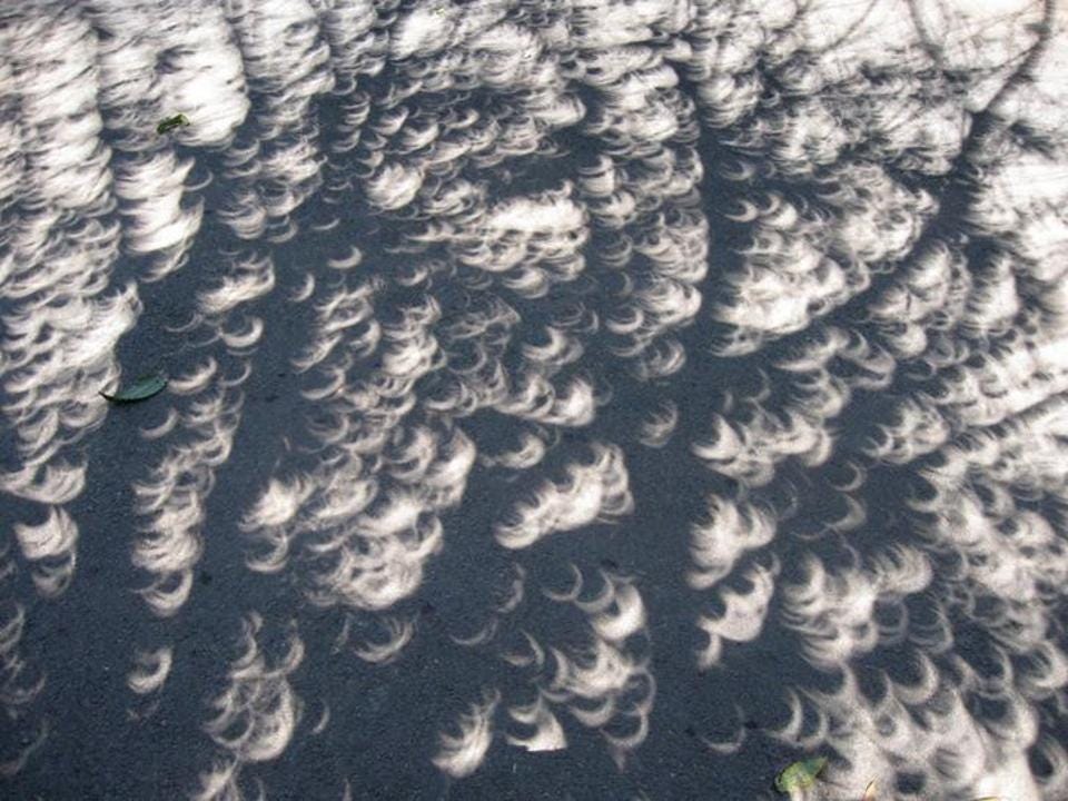 sunlight partial phase eclipse