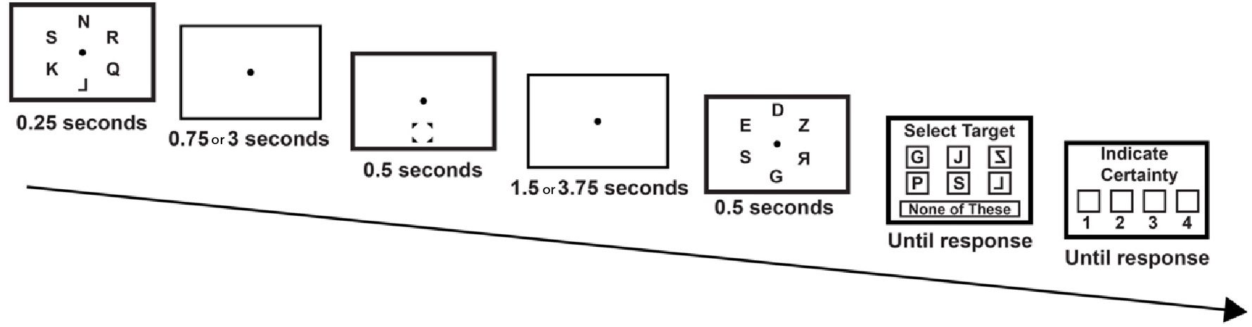 a diagram of the experiment