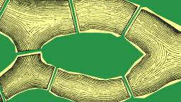 Abstract illustration of segmented, wood-textured shapes arranged in an oval formation on a green background.