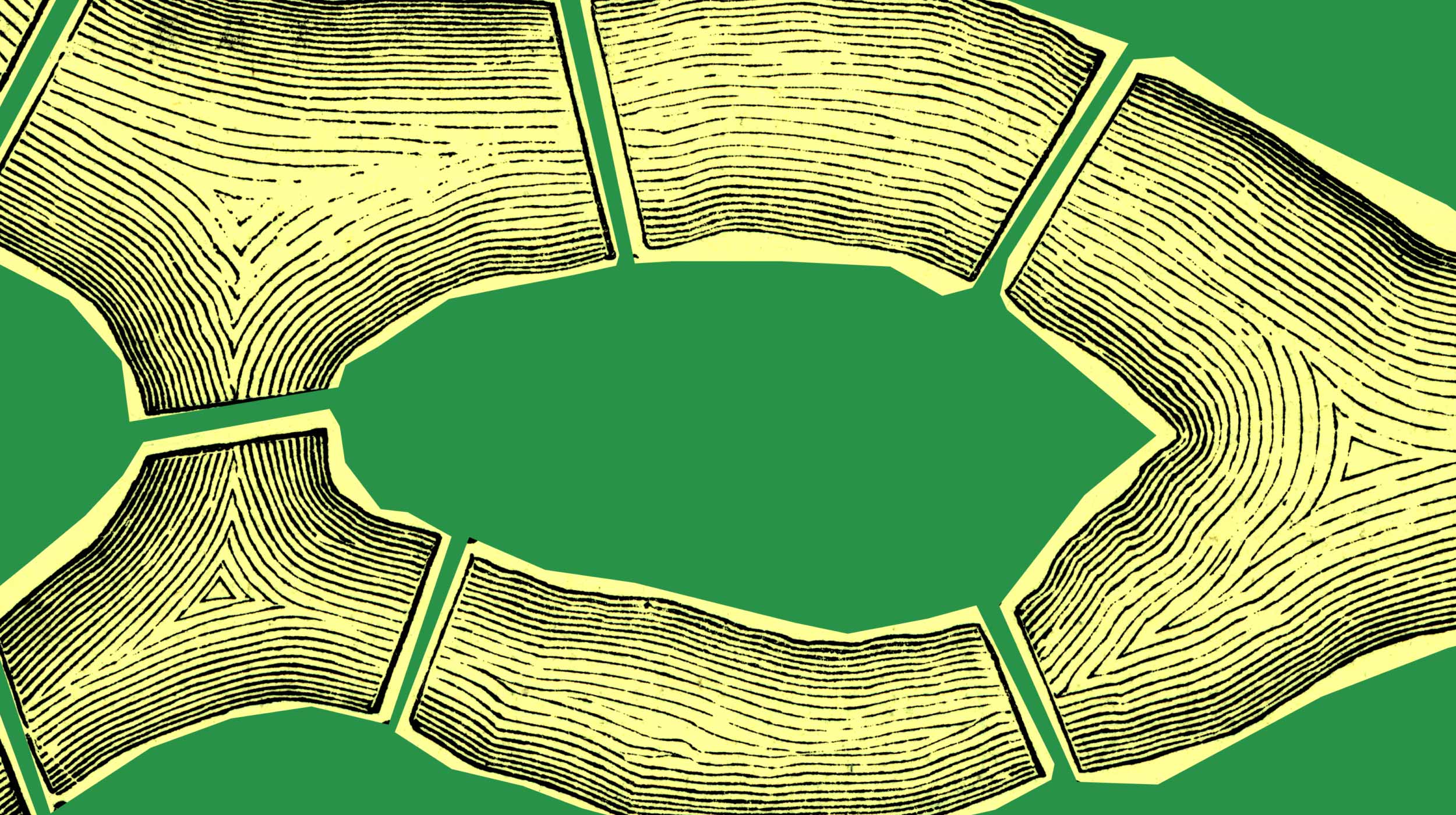 Abstract illustration of segmented, wood-textured shapes arranged in an oval formation on a green background.