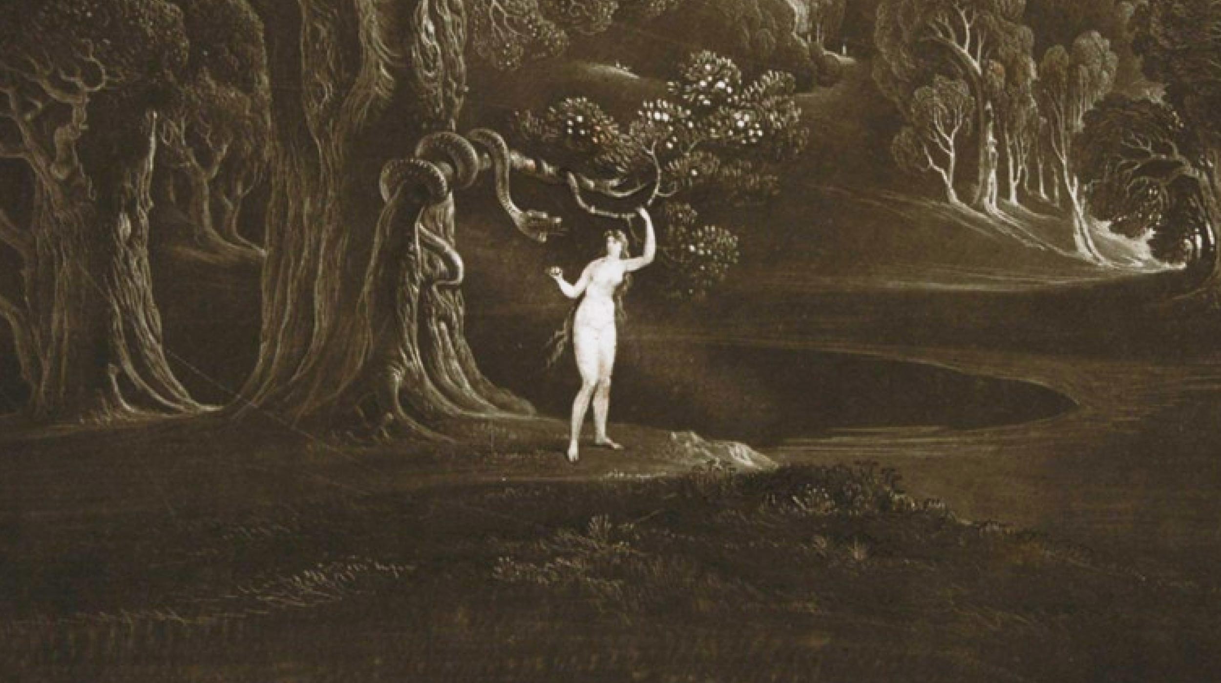 A figure stands beneath a tree with a serpent coiled on the branches, in a dense, shadowy forest clearing.