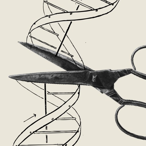 A pair of scissors appears to cut through a black and white illustration of a DNA double helix.
