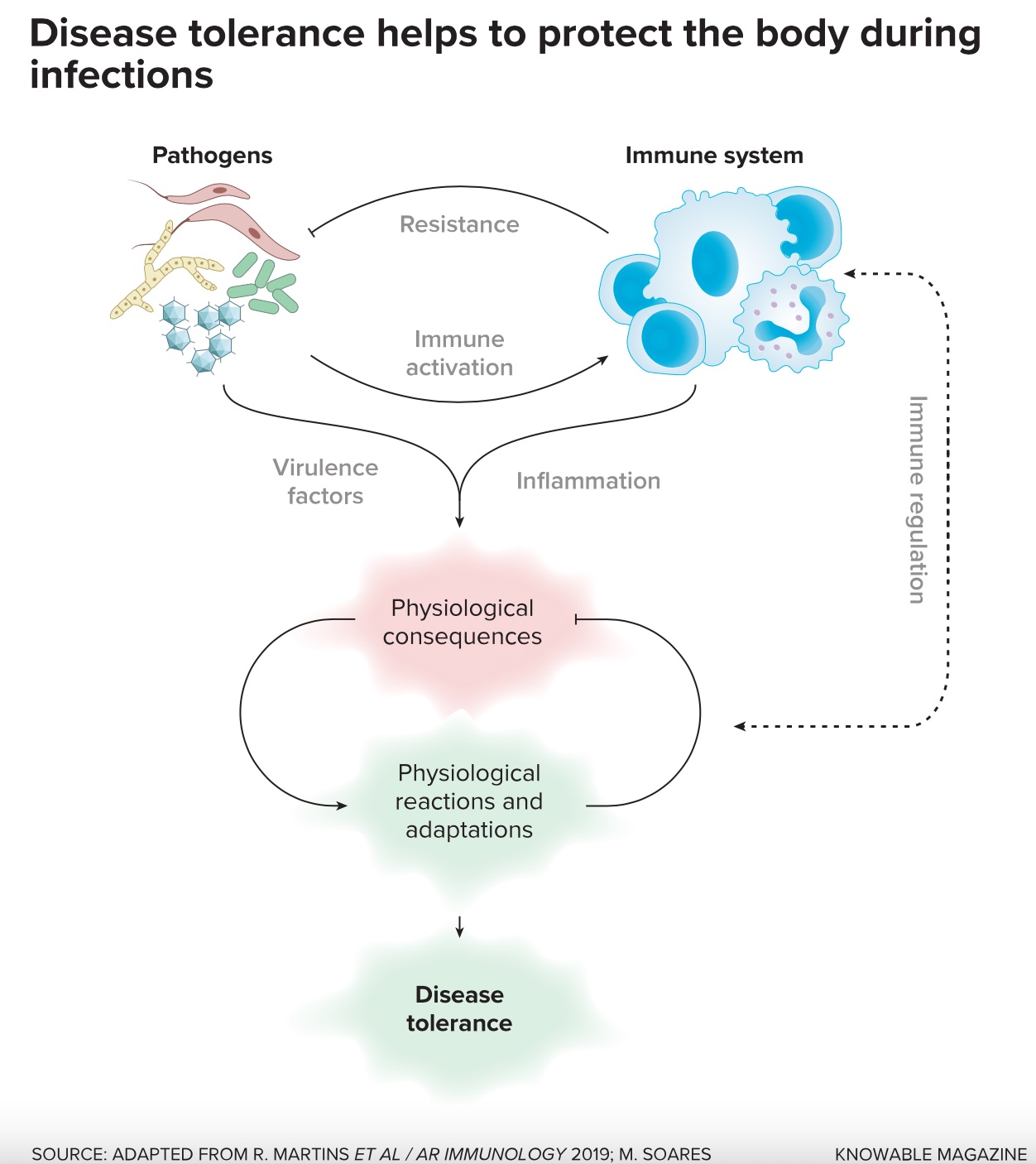 a diagram of a body and its functions.