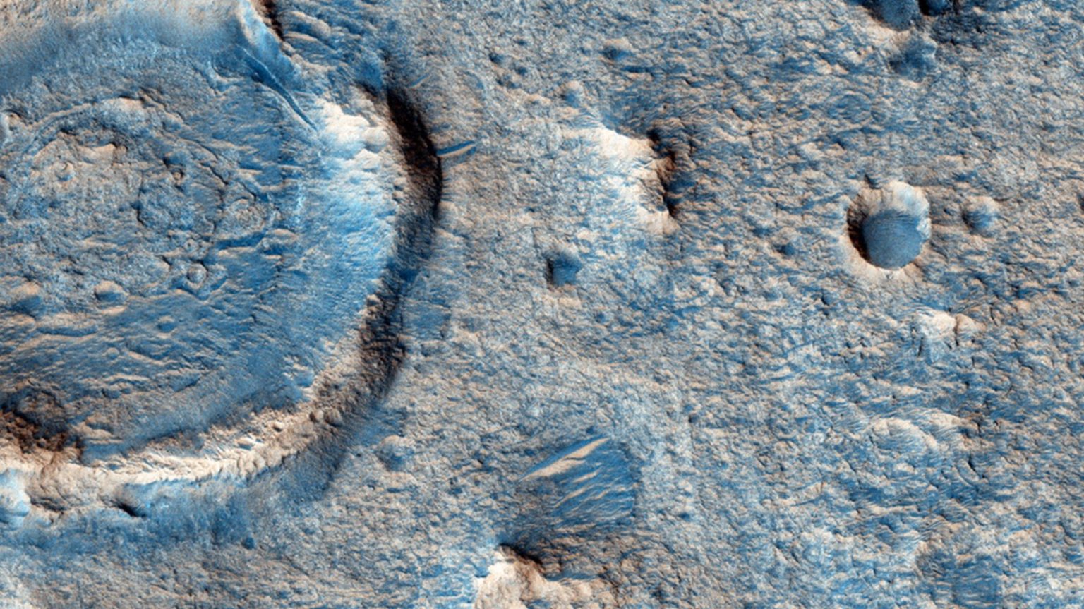 a close up of a rock with holes in it.