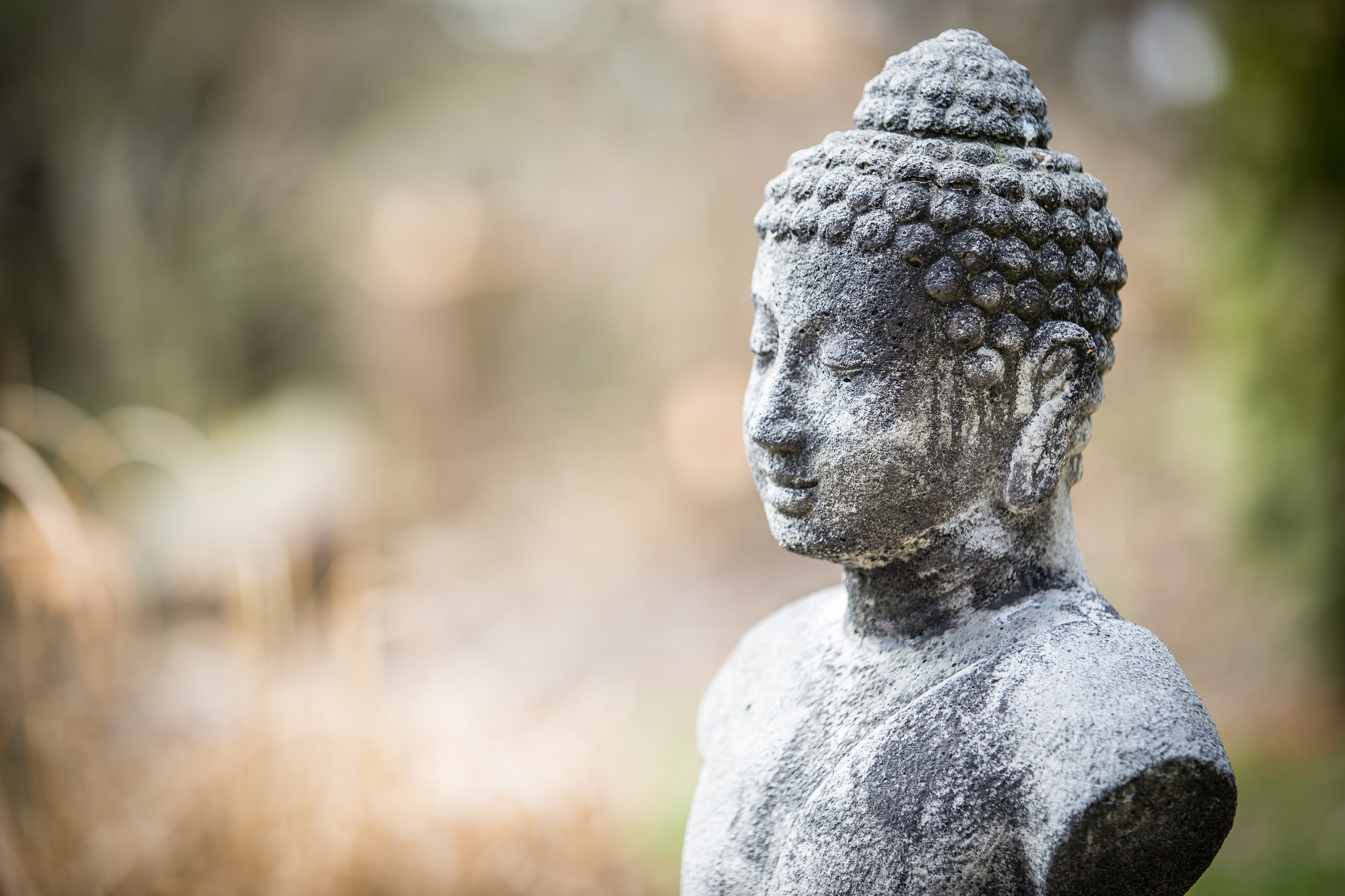 A statue of a buddha in a grassy area.
