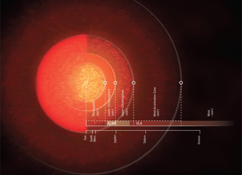 red supergiant anatomy