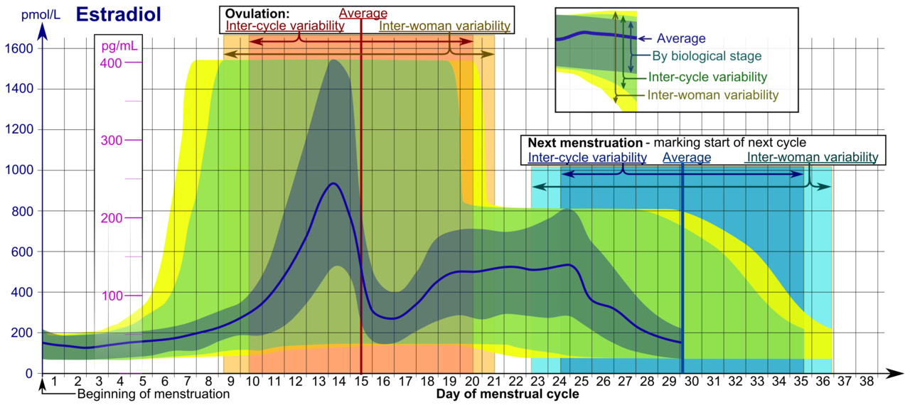 a plot showing the temperature and temperature of a body of water.
