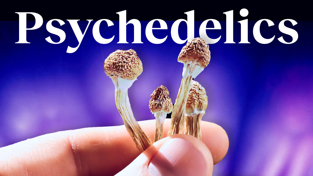 a hand holding a tiny group of mushrooms.