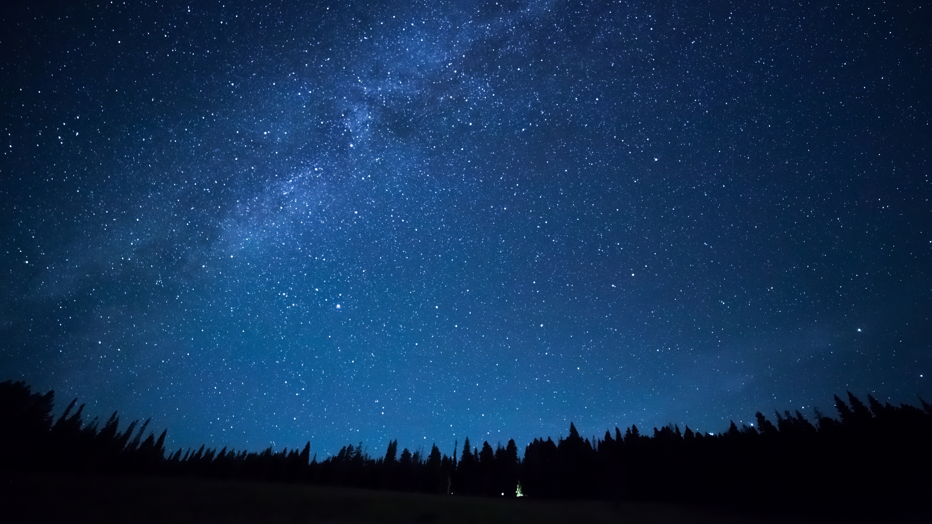 the night sky with stars and trees in the foreground.