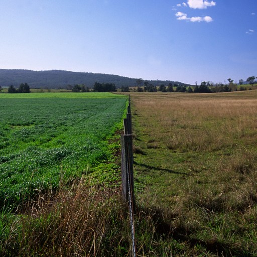 A field of grass with a fence in the foreground.
