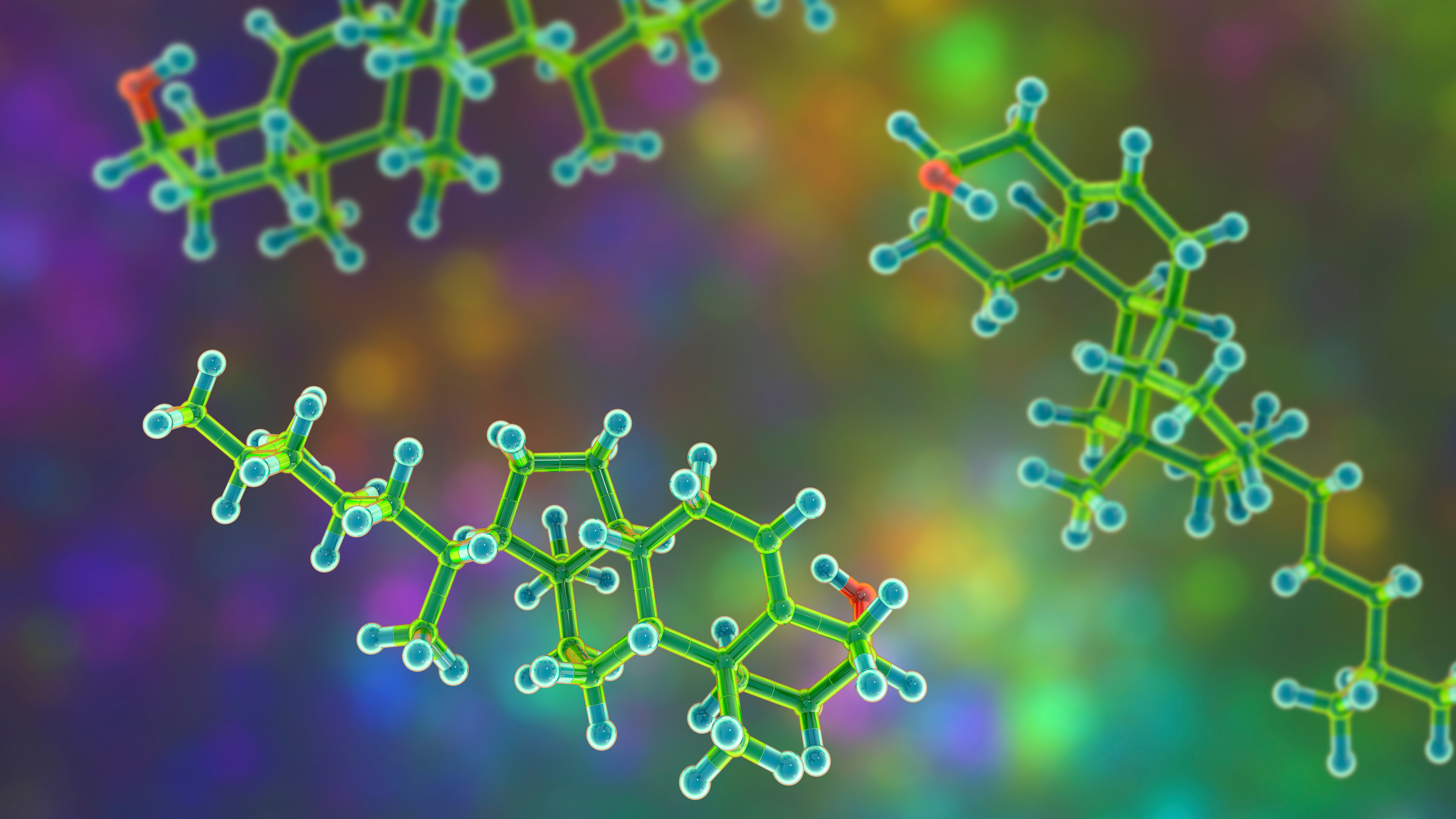 cholesterol molecules