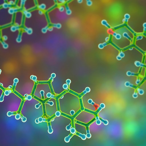 cholesterol molecules