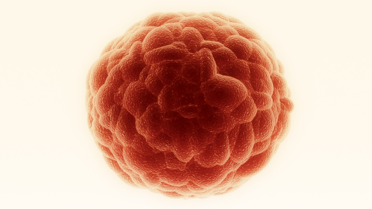 a red ball of blood on a white background.