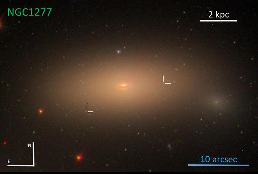 galaxy NGC 1277 Perseus cluster