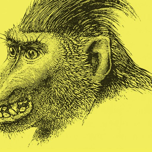 Detailed black and white sketch of a baboon’s head in profile, showing its expressive face and rough fur, on a solid yellow background.