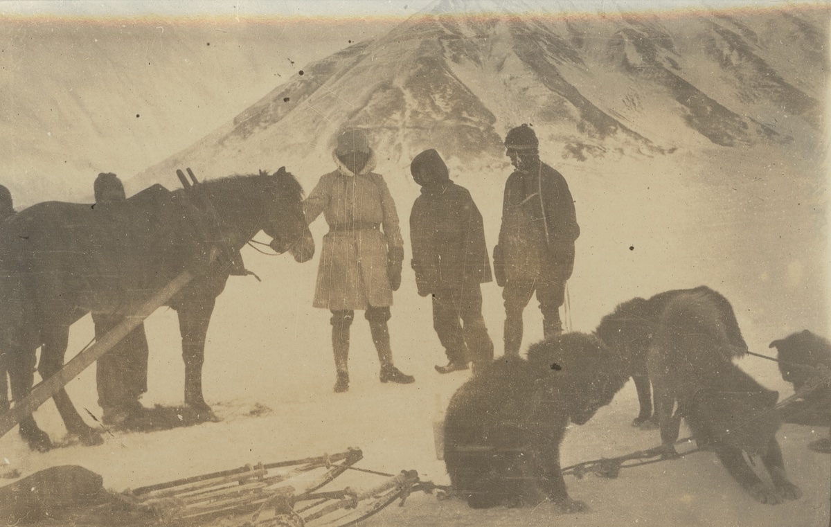 a group of people standing next to a group of horses.