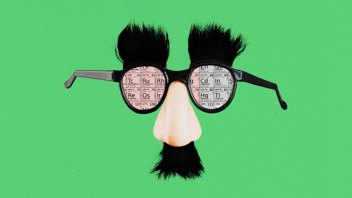 a pair of glasses with a fake bird's head on it.