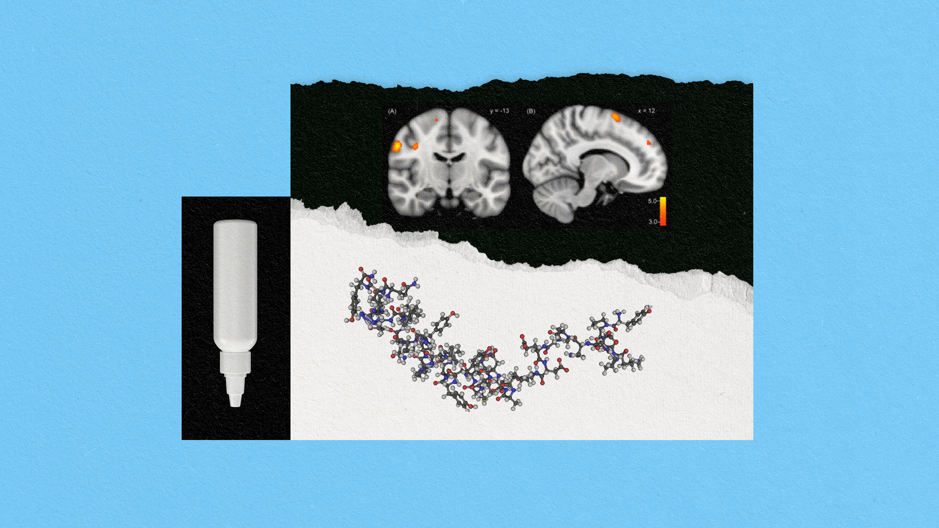 a picture of a group of people in the shape of a brain.