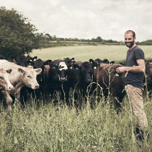 A man overseeing a herd of cows in an animal agriculture setting.