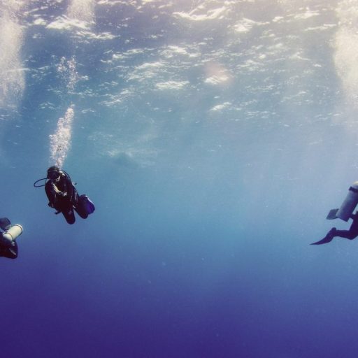 three scuba divers in the water.