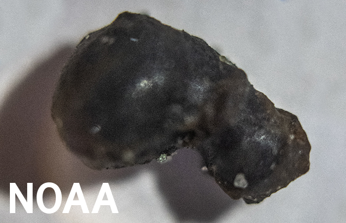 marine fragment 2018 meteor