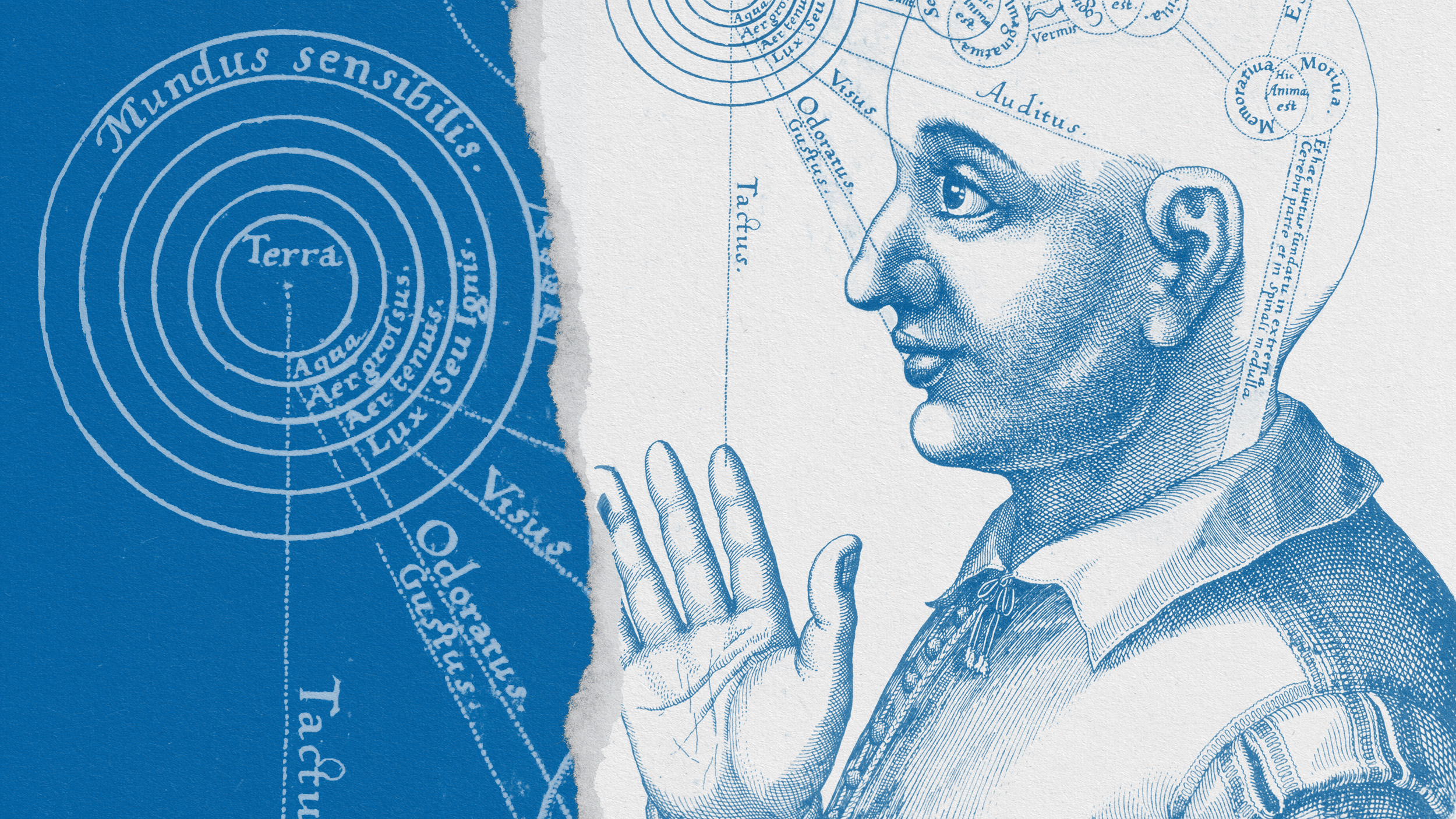 A phenomenological representation of a man's head with an intricate diagram.