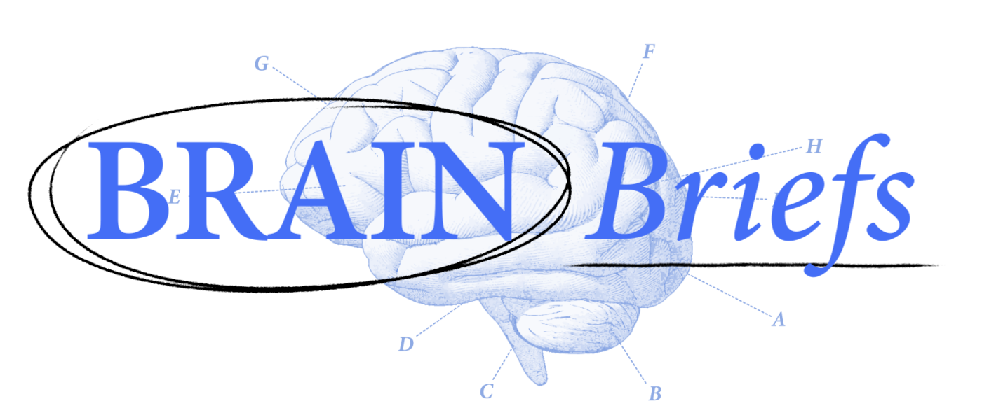 An anatomical drawing of a human brain labeled with letters, overlaid with the words "BRAIN Briefs" in blue text.