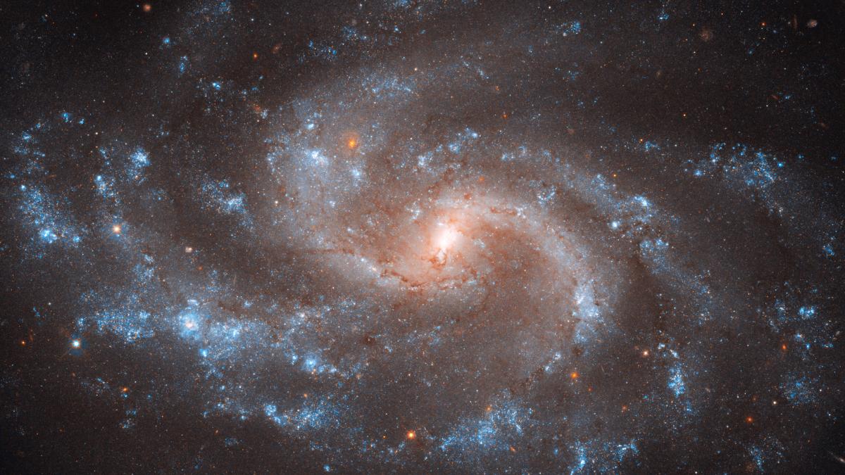 NGC 5584 cepheid hubble