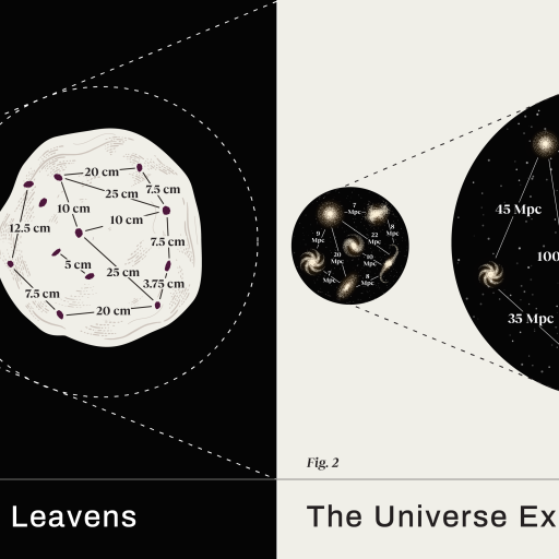 Raisin bread expanding Universe