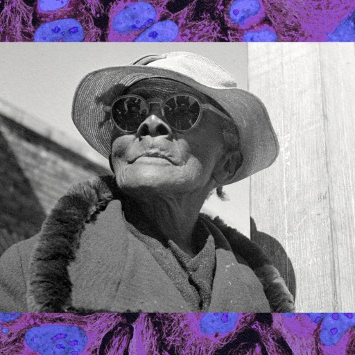 A man with sunglasses and a hat on against a purple background.