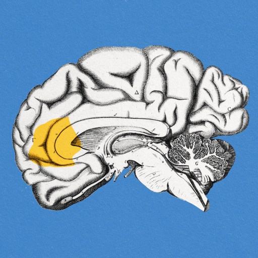 A yellow brain drawing on a blue background, emphasizing speech.