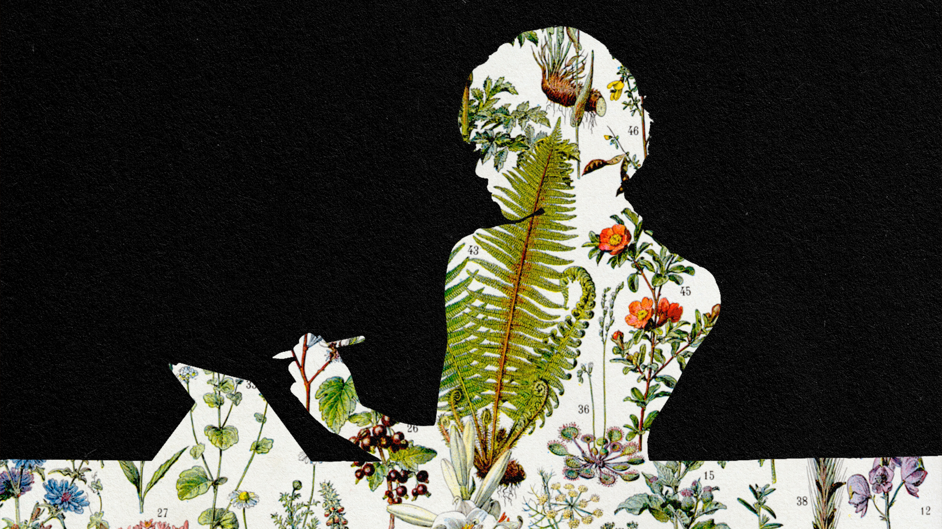 A silhouette of a woman reading a book, embodying a growth mindset.