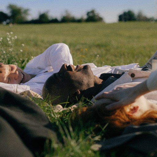 A small gathering of individuals peacefully reclining in a meadow.