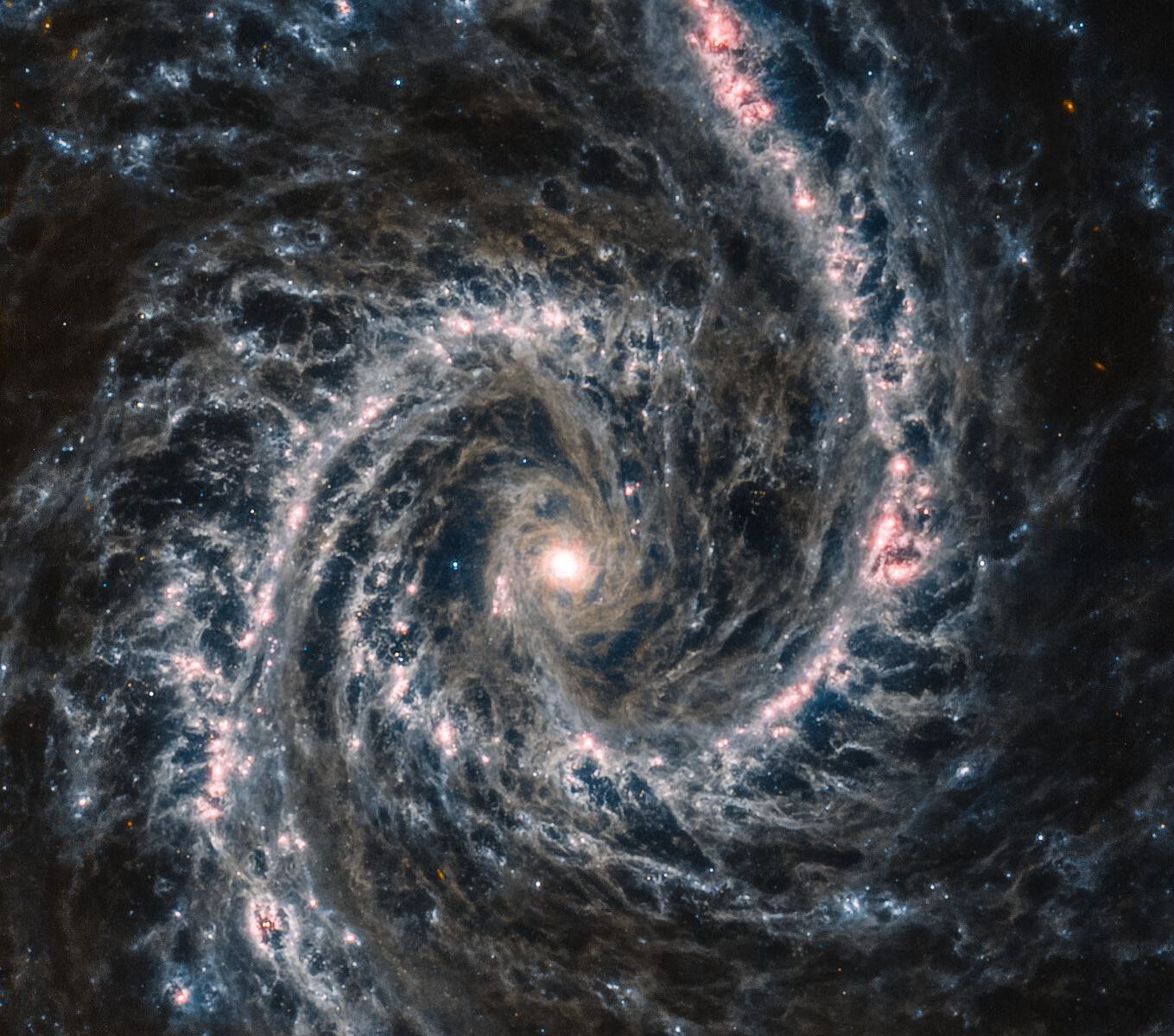 galaxy ngc 1566 PHANGS MIRI JWST