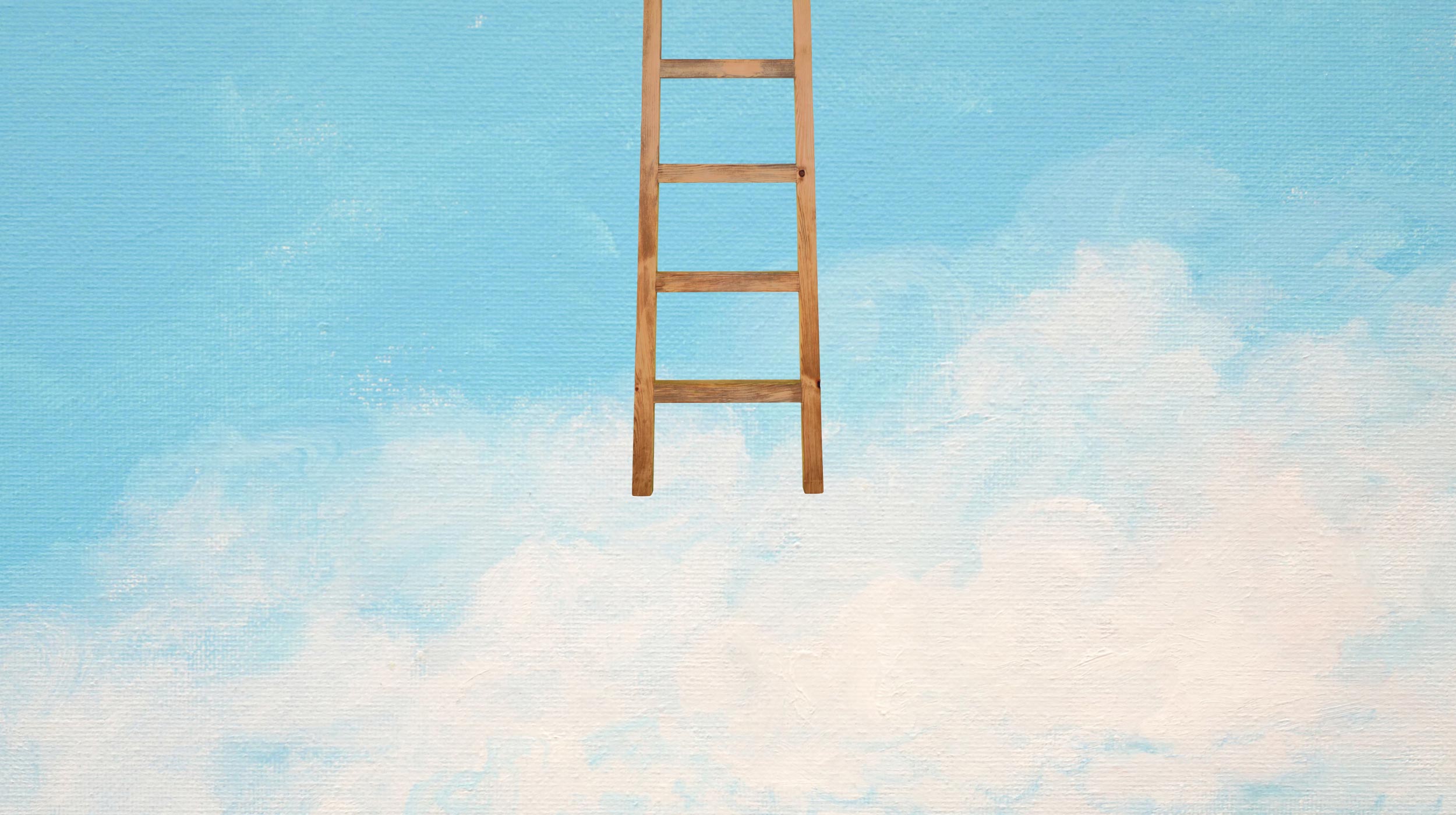 A wooden ladder extends downward from the top edge of the image against a blue sky with scattered white clouds.